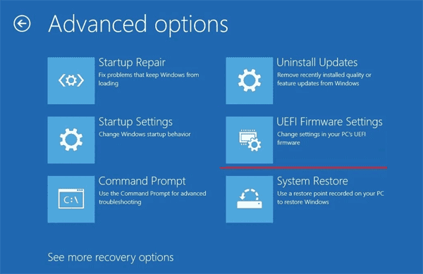 Advanced options