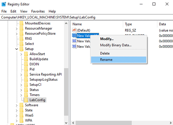 Rename the DWORD (32 bit) Value
